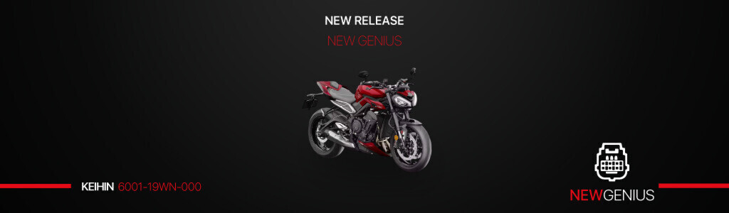 NOVITÀ BIKE: SUPPORTO SERIALE ECU TRIUMPH KEIHIN MY23+ RH850