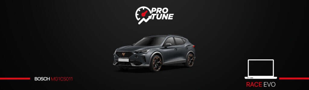 RIMAPPA CUPRA FORMENTOR CON PROTUNE!