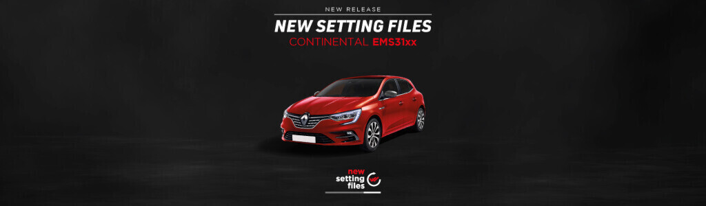 Aggiornamento file di settaggio per centraline EMS31xx